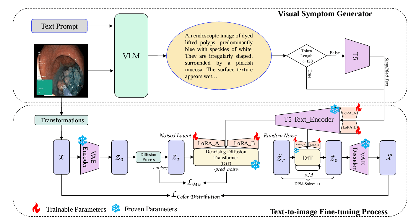 The architecture of the Med-Art model