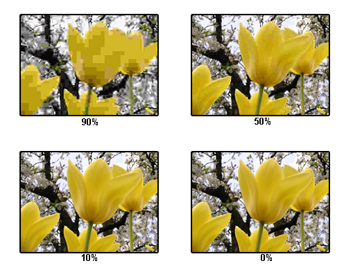 Consequences of different levels of JPEG compression. While the compression is barely noticeable at up to 50%, it can degrade quickly beyond that. This is similar to the 4-bit threshold in LLM inference, below which model performance worsens rapidly.